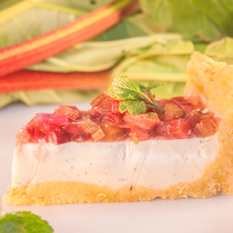 Rhubarb Cheesecake