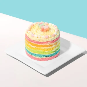 RAINBOW BENTO CAKE
